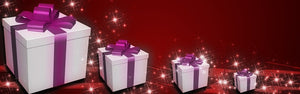 Our Gift 2 U